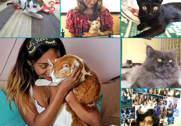 International Cat Day: How Some Super-Cats Changed These Ladies’ Lives!